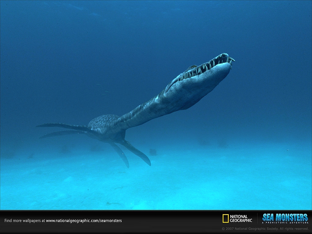 Fonds d'cran Animaux Vie marine - Divers styxosaurus