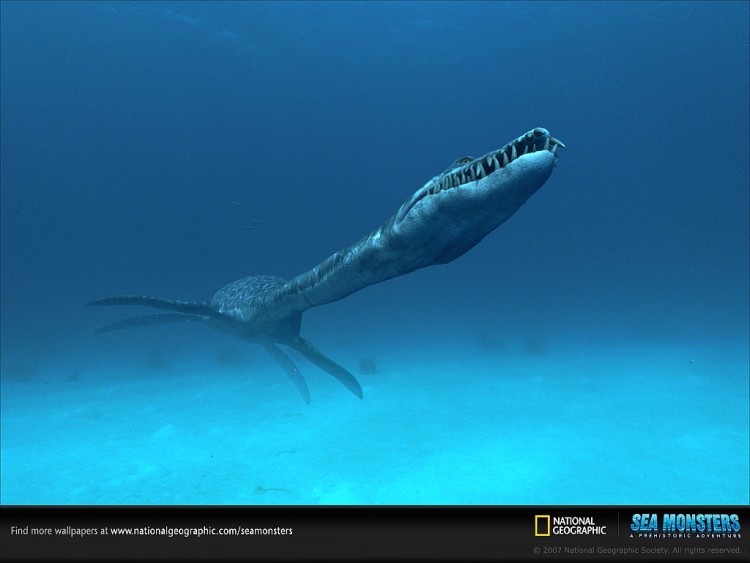 Fonds d'cran Animaux Vie marine - Divers styxosaurus