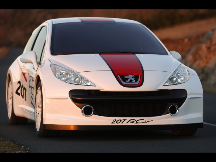 Wallpapers Cars Peugeot Peugeot 207 RCup (2006)