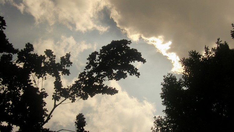 Fonds d'cran Nature Ciel - Nuages une branche tente une approche avec le nuage