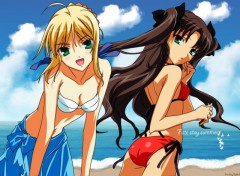 Fonds d'cran Manga fate stay summer