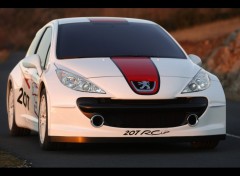 Fonds d'cran Voitures Peugeot 207 RCup (2006)