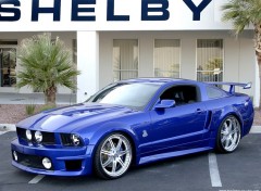 Fonds d'cran Voitures Mustang Shelby gt wcc