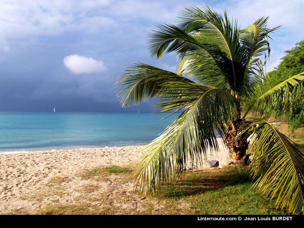 Fonds d'cran Voyages : Europe Guadeloupe Guadeloupe