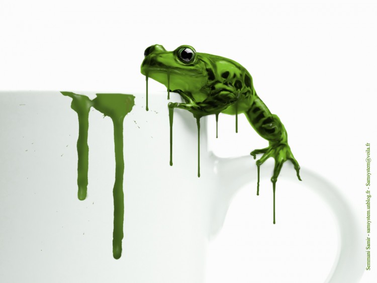 Wallpapers Digital Art Animals chimicalfrog