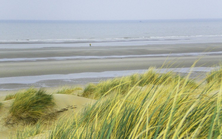 Wallpapers Nature Seas - Oceans - Beaches Dune