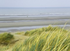 Fonds d'cran Nature Dune