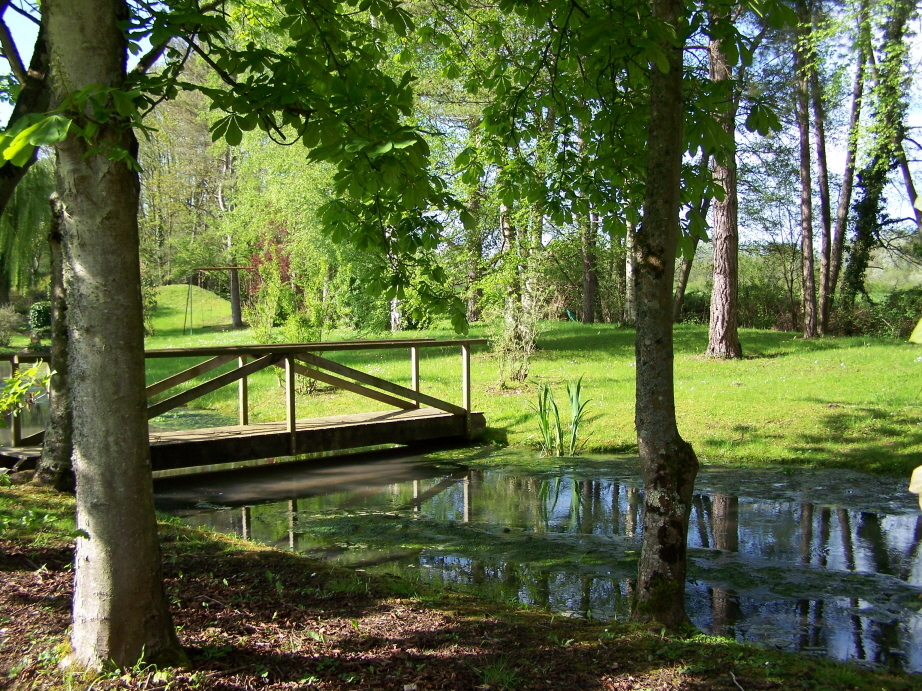 Fonds d'cran Nature Fleuves - Rivires - Torrents Rivire