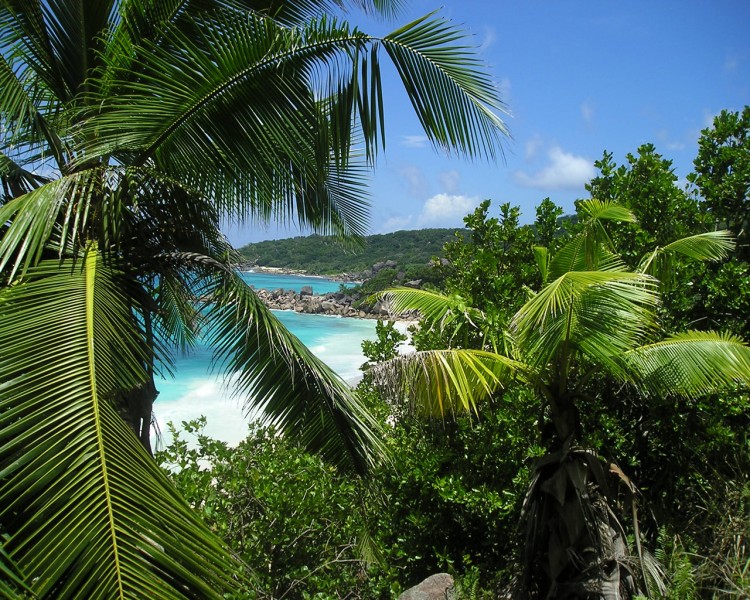 Fonds d'cran Voyages : Afrique Les Seychelles Entre Anse cocos et grand anse