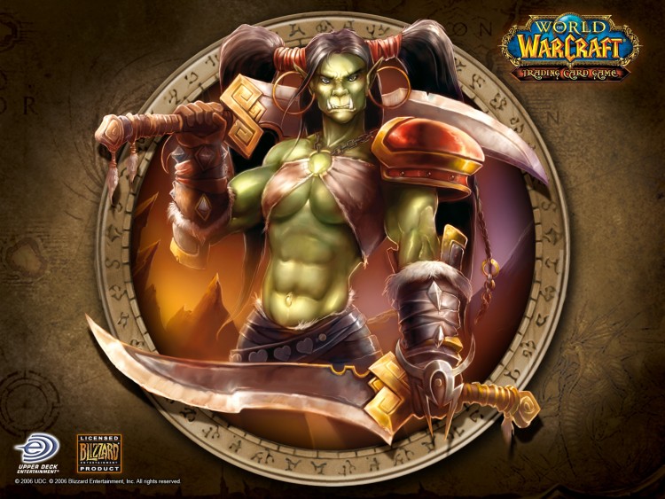 Wallpapers Video Games World of Warcraft : The Burning Crusade Wallpaper N203821