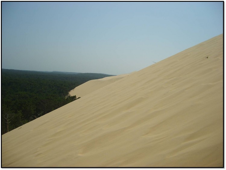 Fonds d'cran Nature Paysages dune du pyla