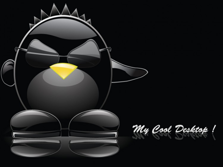 Fonds d'cran Informatique Linux cooldesktop