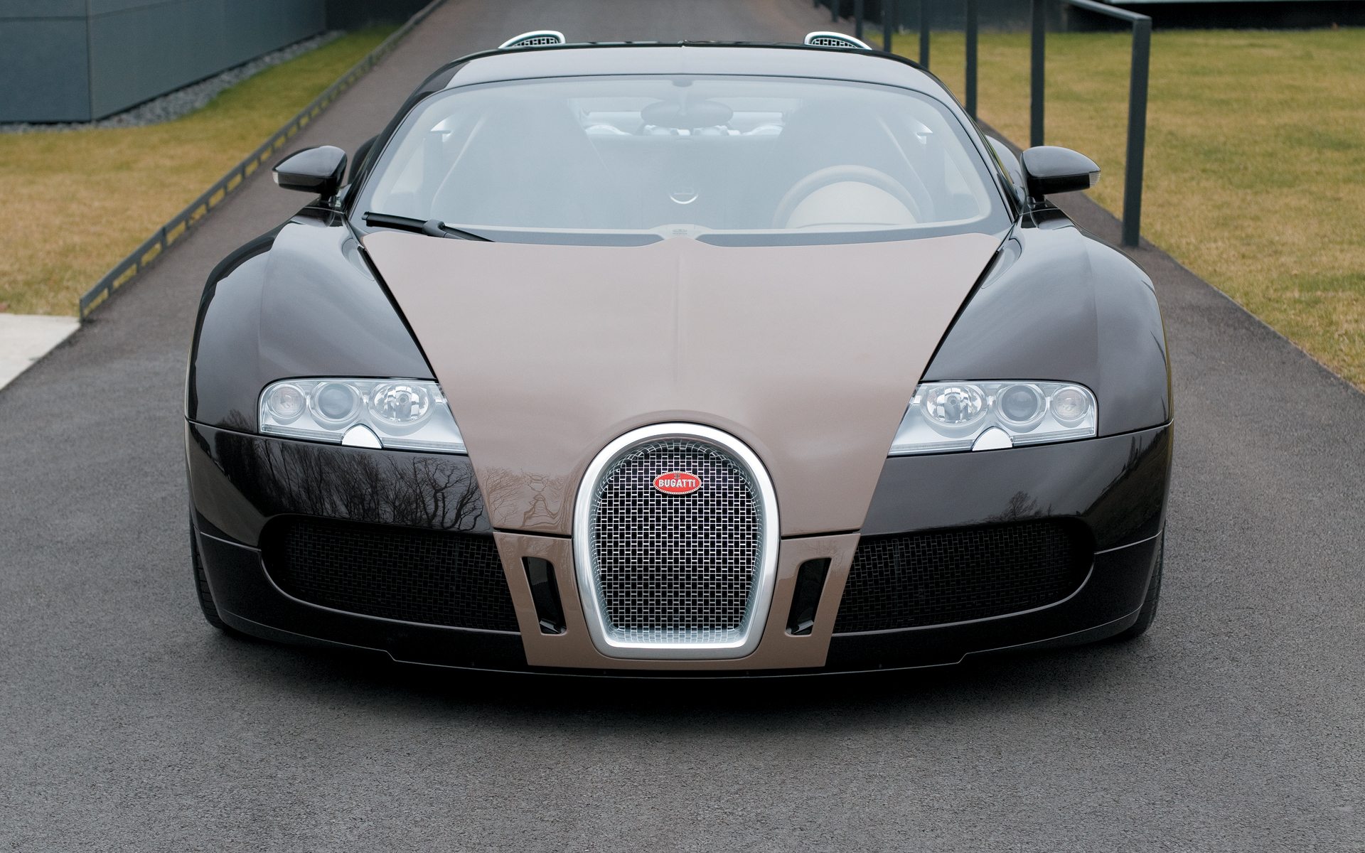 Wallpapers Cars Bugatti Bugatti Veyron Hermes