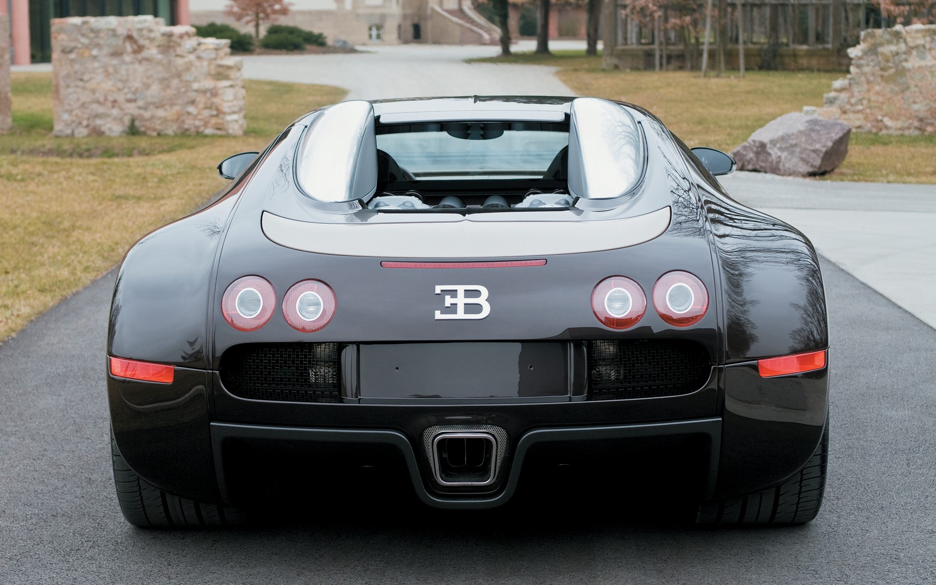 Wallpapers Cars Bugatti Bugatti Veyron Hermes