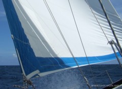 Fonds d'cran Bateaux Voile