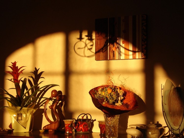 Wallpapers Objects Lights contre jour