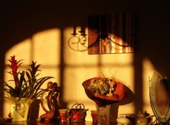 Wallpapers Objects contre jour