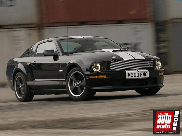 Fonds d'cran Voitures Shelby Shelby