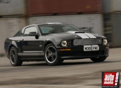 Fonds d'cran Voitures Shelby