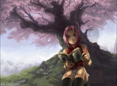 Wallpapers Manga sakura