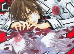 Fonds d'cran Manga vampire knight