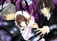 Fonds d'cran Manga vampire knight