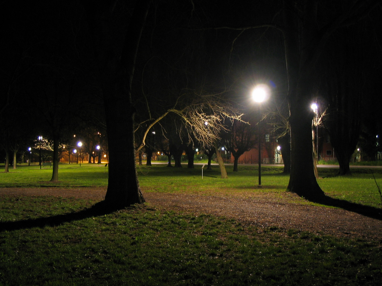 Wallpapers Nature Parks - Gardens Park at night