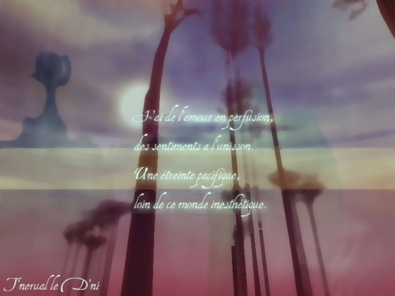 Wallpapers Digital Art Poetry - Texts Humeurs