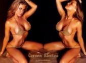 Wallpapers Celebrities Women carmen electra