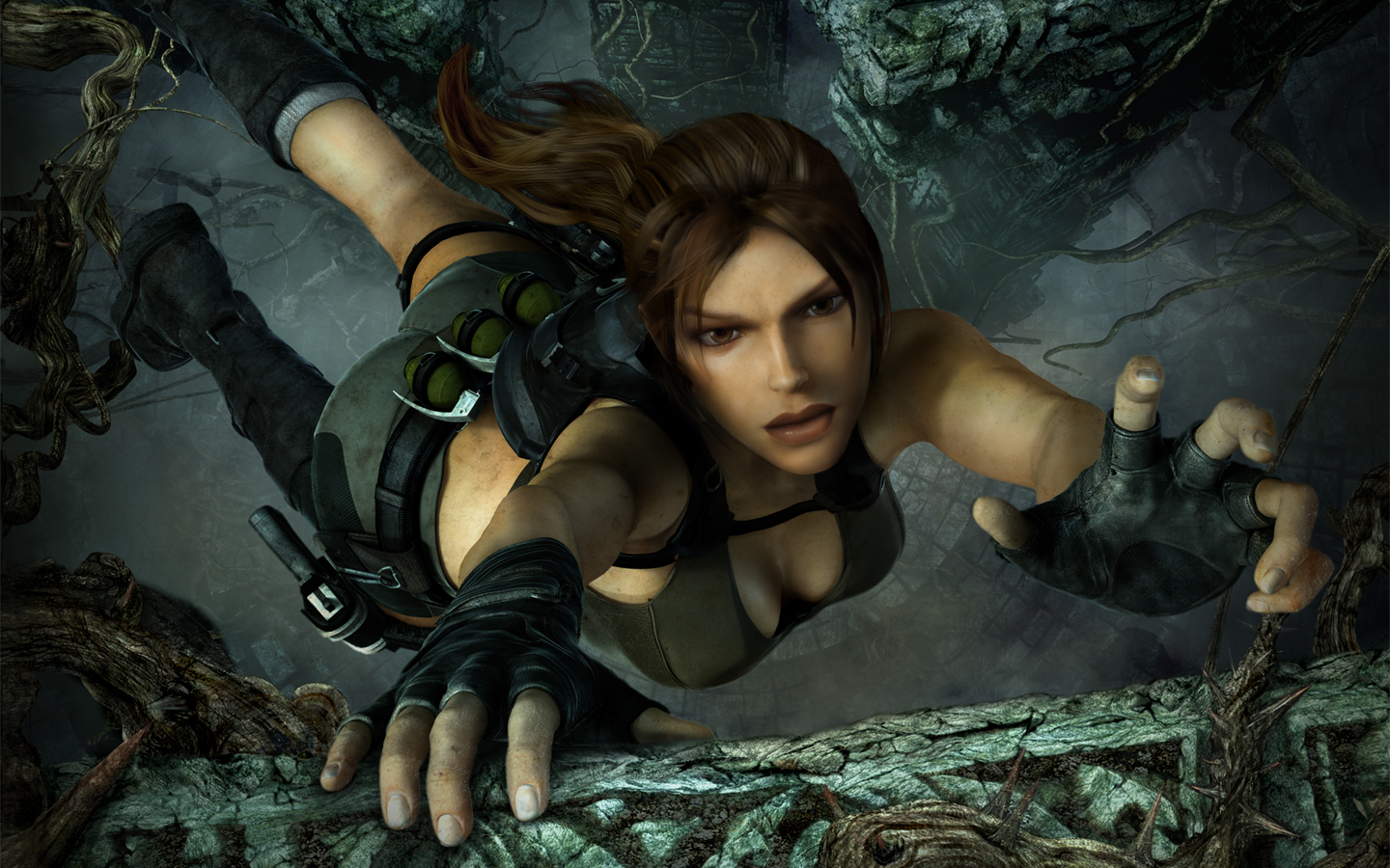 Fonds d'cran Jeux Vido Tomb Raider : Underworld gouffre