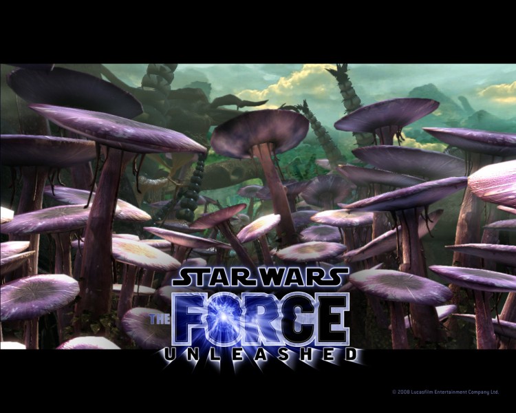 Fonds d'cran Jeux Vido Star Wars - le Pouvoir de la Force Wallpaper N206613