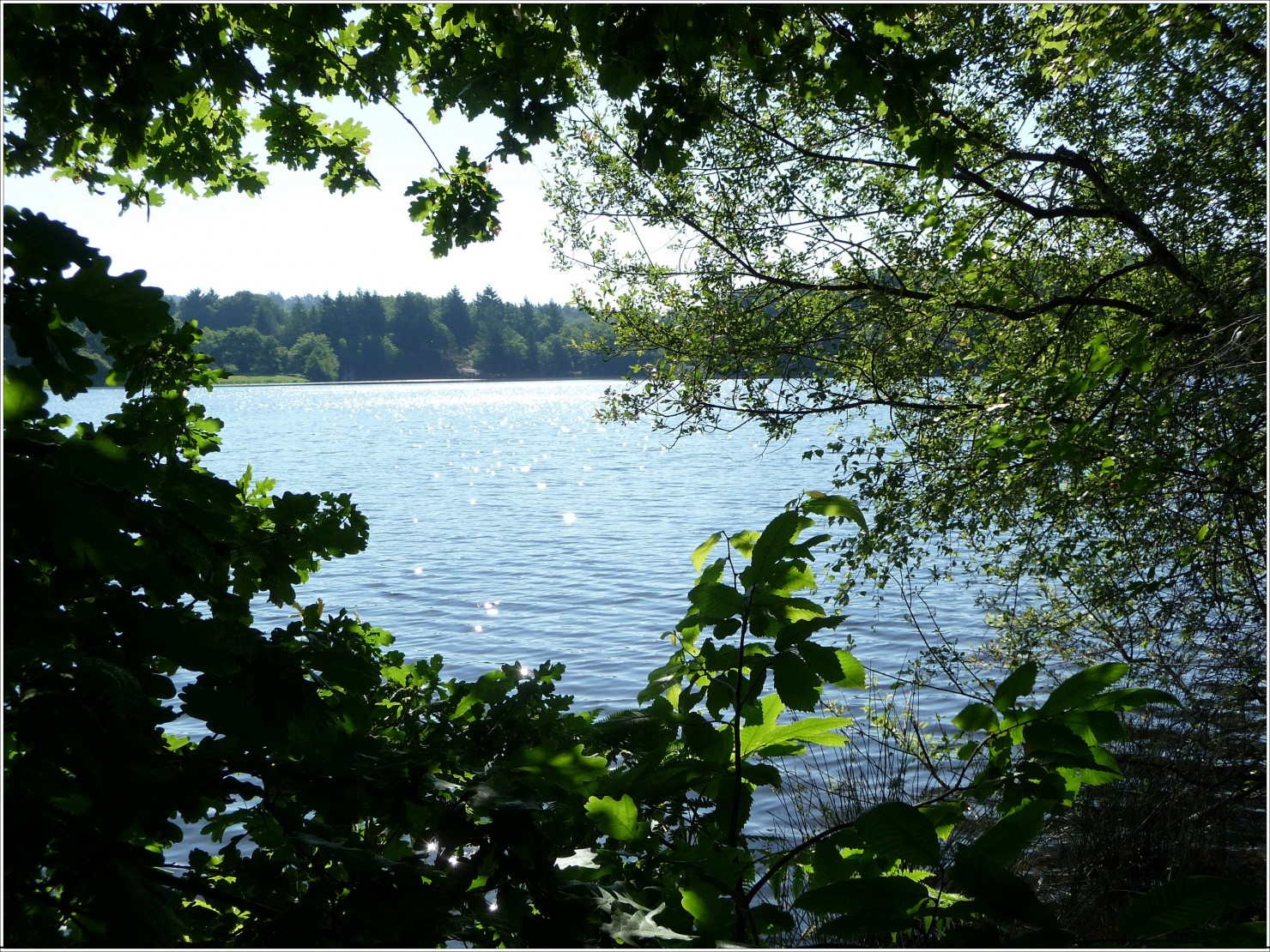 Fonds d'cran Nature Lacs - Etangs Lac de St Pardoux