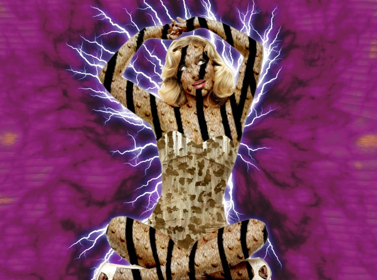 Wallpapers Digital Art Women - Femininity Hayden Zebra