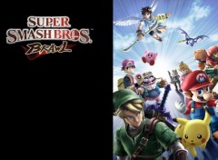 Fonds d'cran Jeux Vido Super Smash Bros. Brawl