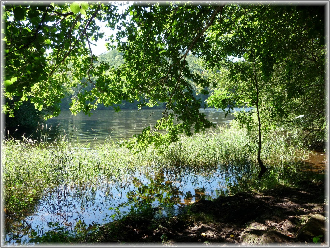 Wallpapers Nature Lakes - Ponds Oxygnation