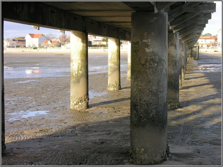 Fonds d'cran Nature Mers - Ocans - Plages Mare basse