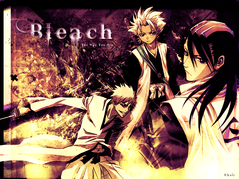 Wallpapers Manga Bleach Bleach - The way you are