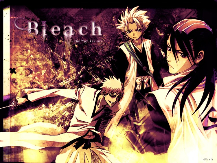 Fonds d'cran Manga Bleach Bleach - The way you are