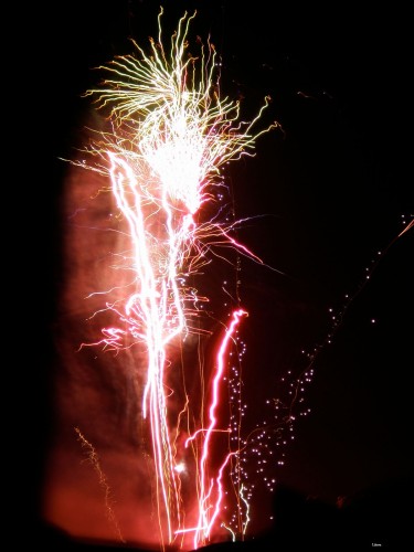 Fonds d'cran Hommes - Evnements Feux d'Artifice Feu d'artifice des 24H du Mans 2008 !