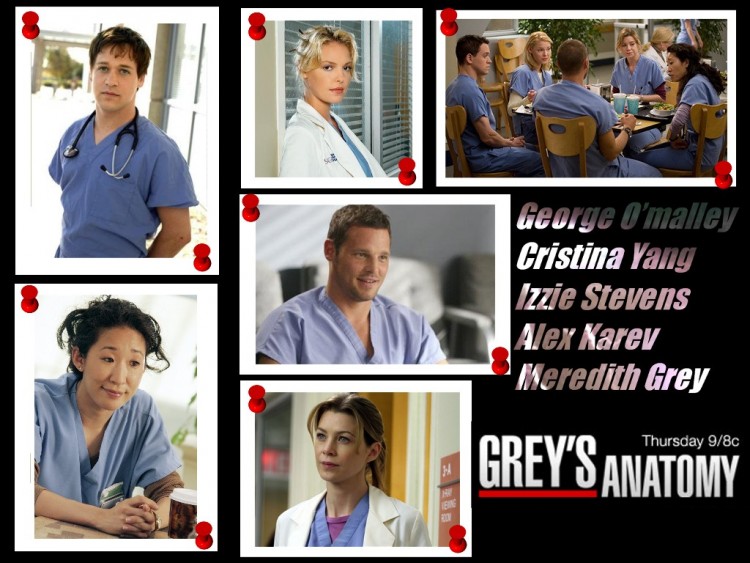 Wallpapers TV Soaps Grey's Anatomy grey's anatomy cast