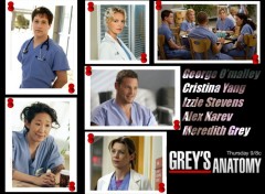 Fonds d'cran Sries TV grey's anatomy cast