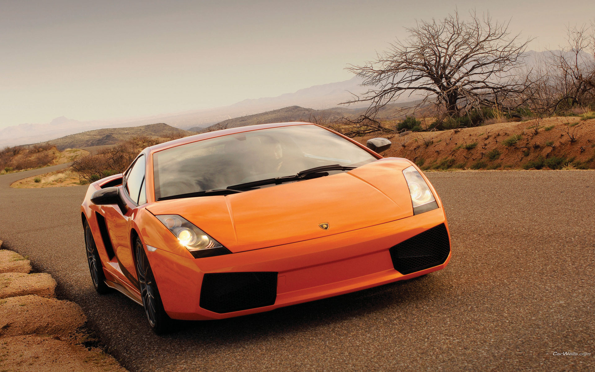 Wallpapers Cars Lamborghini Lamborghini Gallardo SL 162