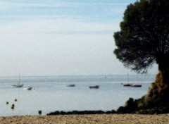 Fonds d'cran Nature Plage de Porc  Saint Nazaire (44)