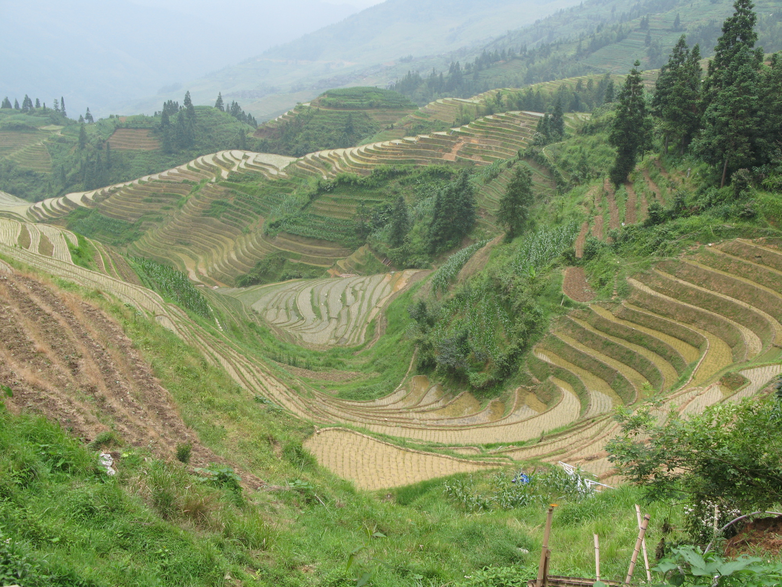 Fonds d'cran Voyages : Asie Chine riziere en terrasse