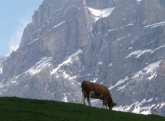 Wallpapers Trips : Europ valle de Grindelwald