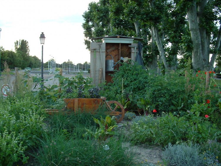 Fonds d'cran Nature Parcs - Jardins massif de fleurs