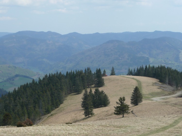 Fonds d'cran Voyages : Europe Allemagne Foret Noire