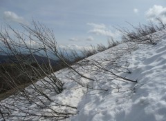 Fonds d'cran Voyages : Europe Grand Ballon