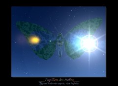 Wallpapers Digital Art Papillon des toiles