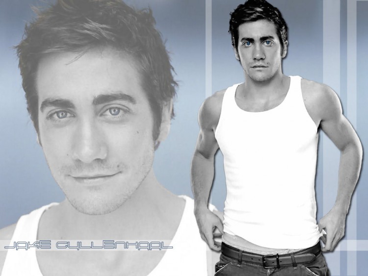 Fonds d'cran Clbrits Homme Jake Gyllenhaal Wallpaper N208028